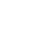 Custom Development