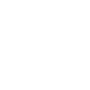 Financial Statements