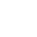 Intellectual Property (IP)